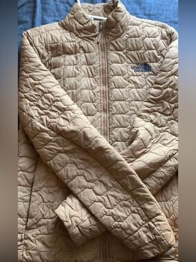The north face jacket